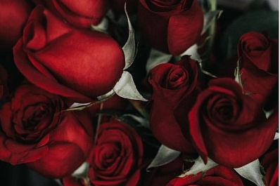 Цветы для возлюбленной: в Тольятти задержали похитителя сотни роз