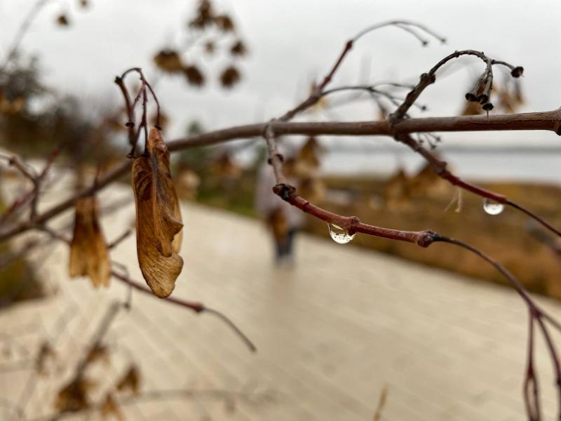 Погода на 13 октября 2025 года: народные приметы и прогноз синоптиков