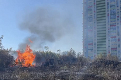 В Тольятти 14 сентября вспыхнул природный пожар