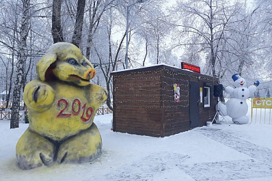 Зловещая свинья в парке Дружбы напугала самарцев