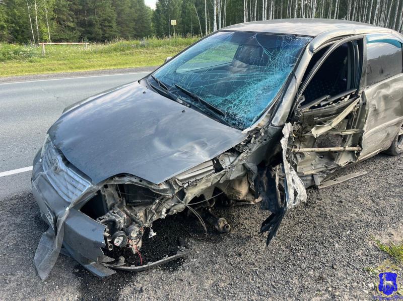 В Тольятти женщина сбила 9-летнего велосипедиста