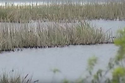 В Сызрани появится Монастырская набережная