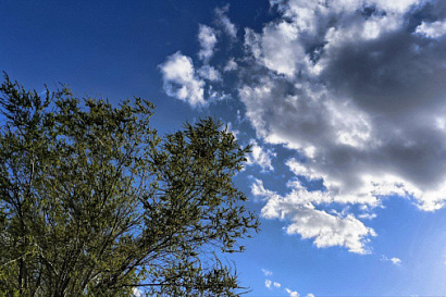 Название статьи