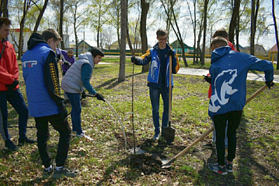 В Кинеле волонтеры высаживают "Сад памяти" 