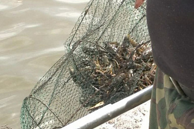 Сети под запретом: вступил в силу закон о любительском рыболовстве