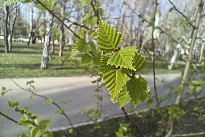 Название статьи