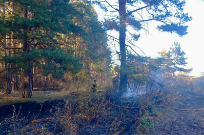 В Самарской области 30 сентября ликвидирован лесной пожар в Шигонском лесничестве
