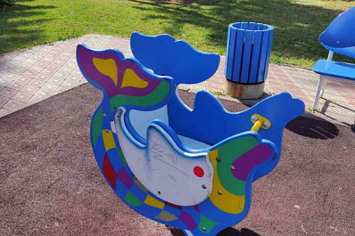 В Кошках вернули "Дельфина" на место после жалоб в соцсетях