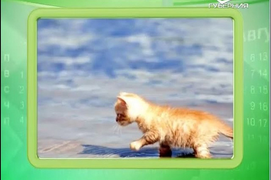 Календарь губернии 15.04.2016