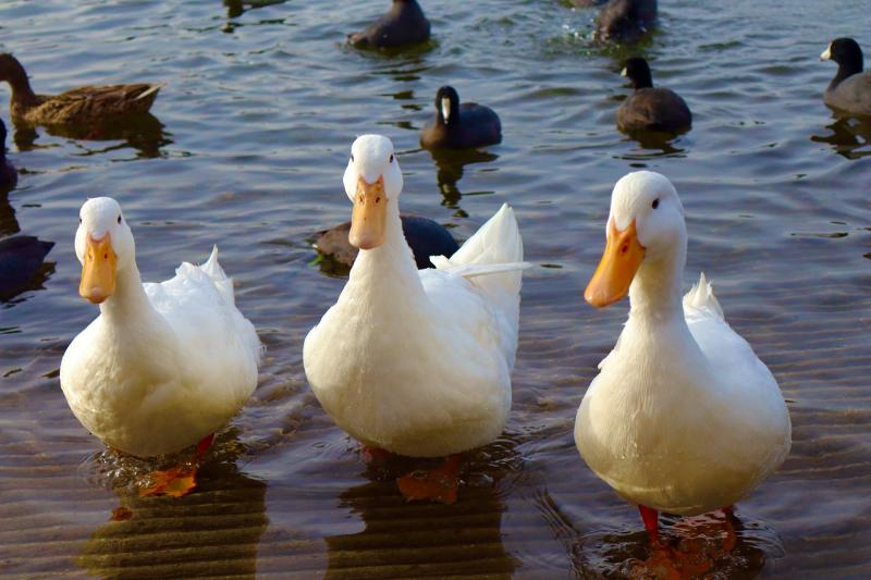 Народные приметы на 28 сентября 2025 года: что нельзя делать в этот день