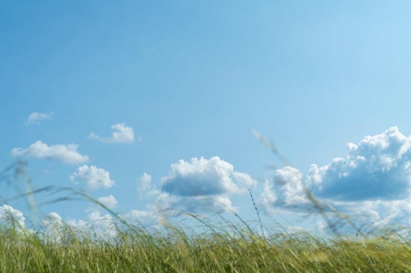 В Самарской области с 9 по 12 сентября ожидаются сильные перепады температур