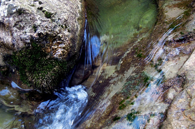Названы кристально чистые родники Самарской области