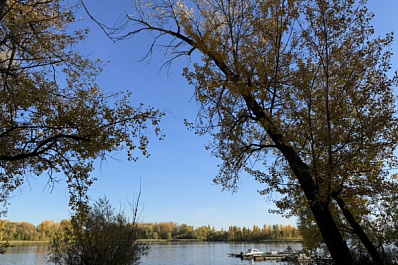 В Самарской области 4 октября будет солнечная и сухая погода 