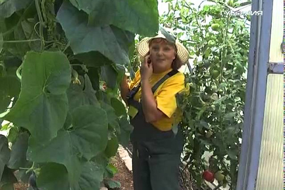 Дачные советы 30.07.2015