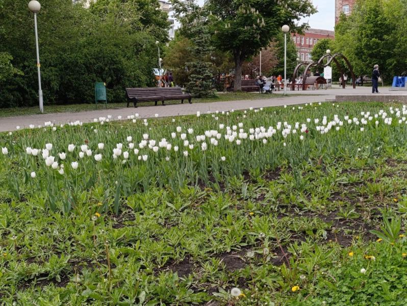 В Октябрьске благоустройство парка имени Максима Горького вышло на следующий этап