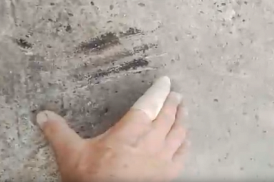 СМИ распространили ложную информацию о набеге чупакабры в Самарской области