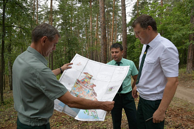 Дачники СНТ "Орленок" пытаются захватить земли лесного фонда