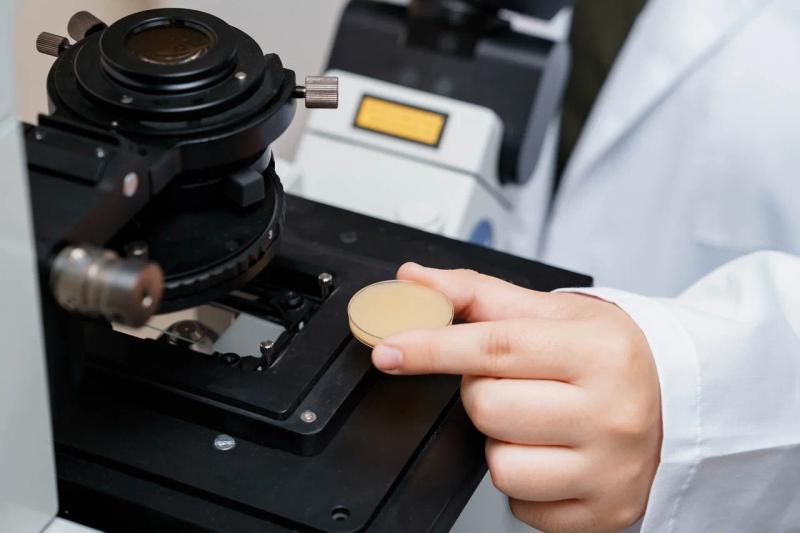 Способ лазерного экспресс-анализа продуктов детского питания разработали в Самарском университете им. Королёва