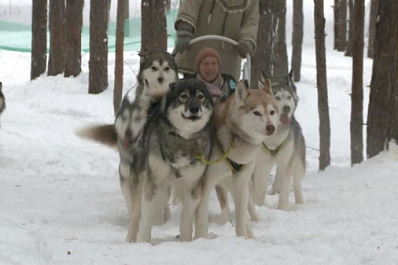 В гостях у хаски: участники проекта "Поехали!" познакомились с обитателями эко-парка у села Задельное