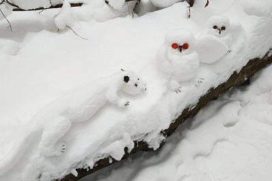 Совята, медведь и выдра: в Сызрани появился снежный "скульптор"