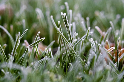 Название статьи