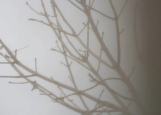 Название статьи