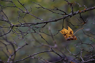 В Самарской области 15 ноября ветер усилится до 20 м/с