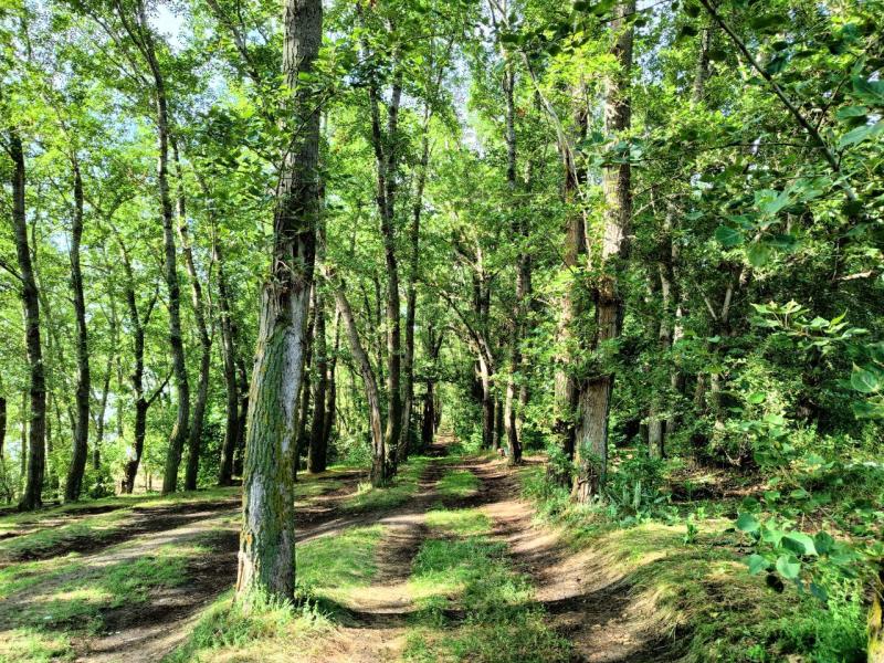В Самарской области 21 августа будет солнечно и сухо