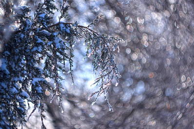 Самарцам рассказали, какой будет погода в последнюю неделю января