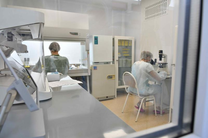Оценку ставит живая клетка: самарские ученые разработали передовую тест-систему для поиска новых лекарств