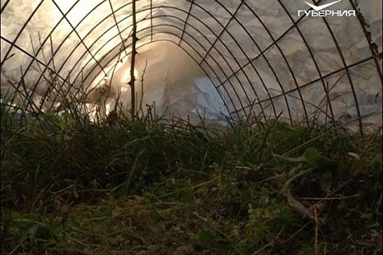 Как из осеннего мусора собрать тёплую грядку. Удачные заметки от 06.11.2018