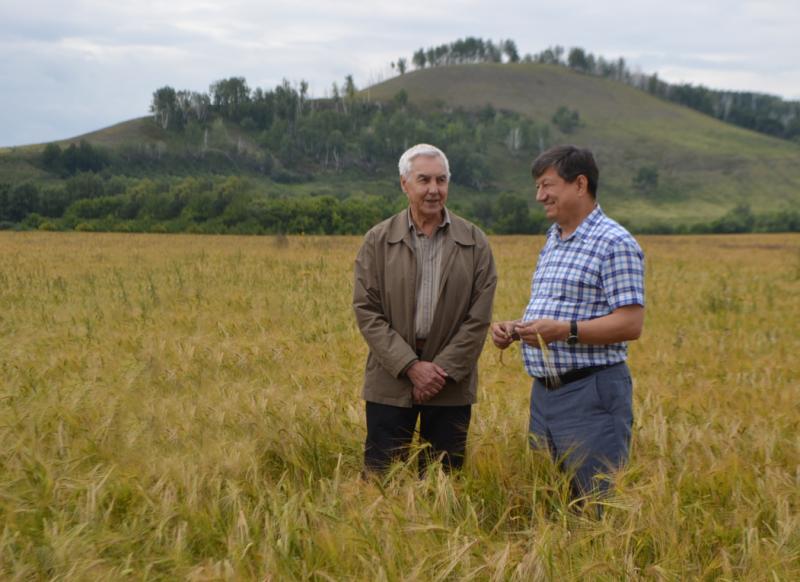 Как бывший нефтяник создал успешный агробизнес в Самарской области