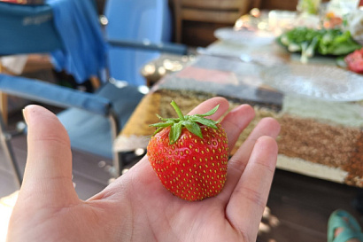 Название статьи