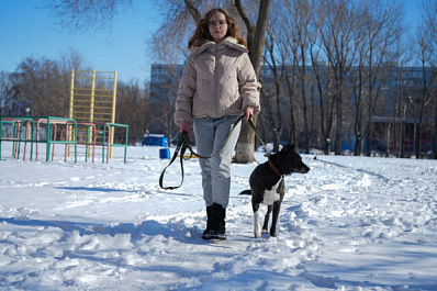По делам четвероногих: как в Самарской области центр занятости помогает начинающим бизнесменам 