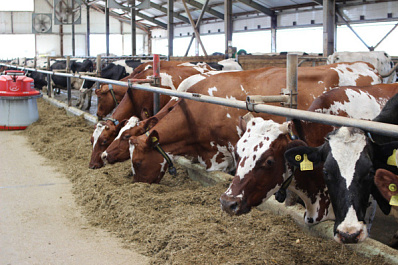 Государство поддержит развитие геномной селекции в животноводстве