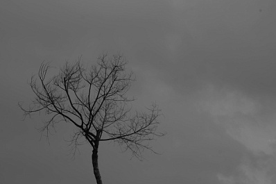 В Самарской области до 16 апреля введен режим 