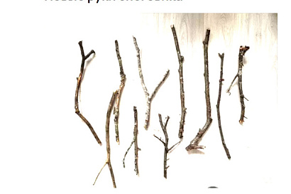 Название статьи