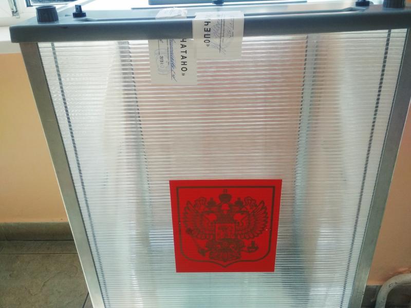 Фото: как выстроены меры безопасности на избирательных участках в Самарской области