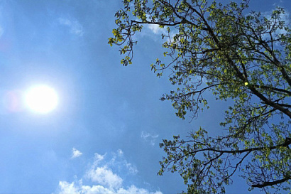 Название статьи