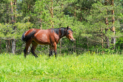 Народные приметы на 13 июня 2025 года: что нельзя делать в этот день