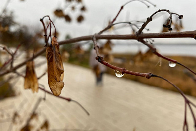 Погода на 13 октября 2025 года: народные приметы и прогноз синоптиков