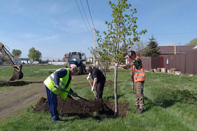 Волжский район стал победителем областного конкурса "ЭкоЛидер"