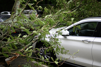 В Самарской области от урагана пострадали четыре человека