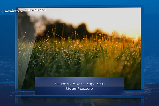 День Мокия Мокрого. Календарь Губернии от 24 мая