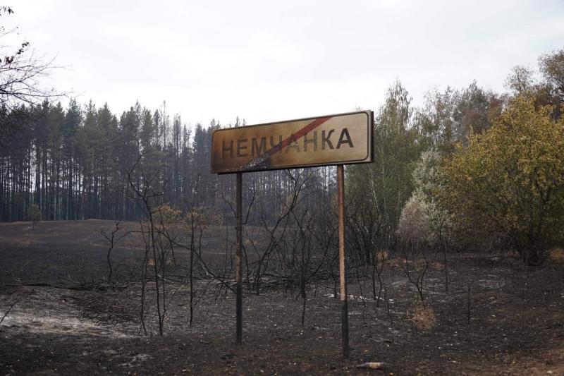 Дмитрий Азаров рассказал о поддержке погорельцев в Борском и Кинельском районах