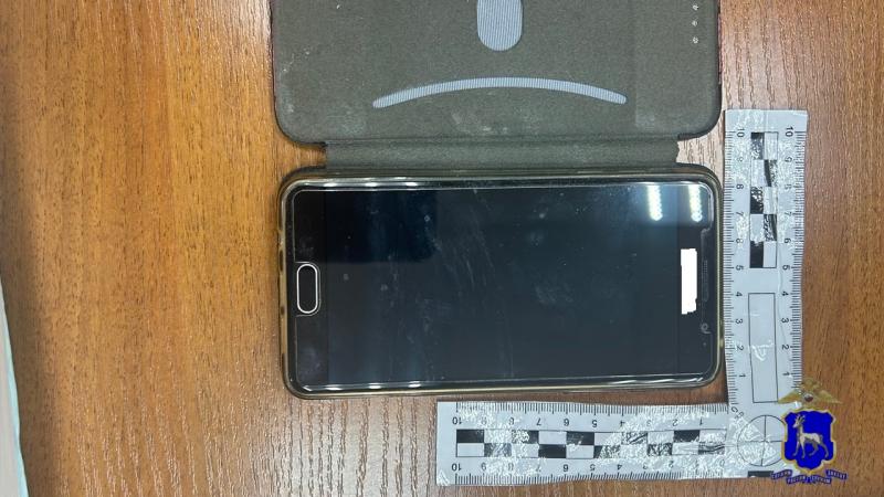 От матери и дочери — к подруге: жительницу Сызрани подозревают в краже телефона