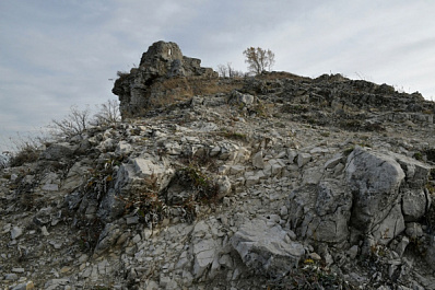 В 2022 году Жигулёвский заповедник отметит 95-летний юбилей