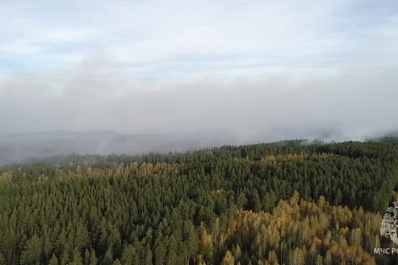 В Самарской области продолжают тушить 57 га леса в "Рачейской тайге"