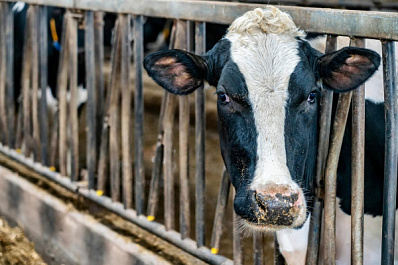 В Самарской области внедряется эффективная модель взаимодействия науки и агропроизводства