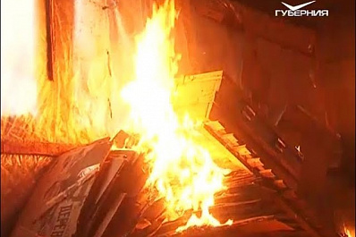 В Красноармейском районе объявлен карантин по африканской чуме свиней